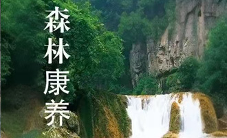 根据客户需求，提供技术支持